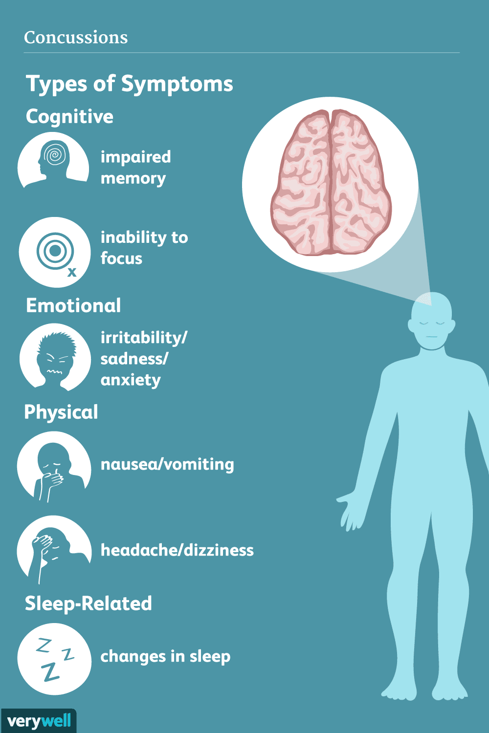 concussions_symptoms-5af1a7b98023b900377d0156 - Chatfield Family ...